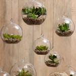 Le piante che arredano il bagno: Mini-Terrarium