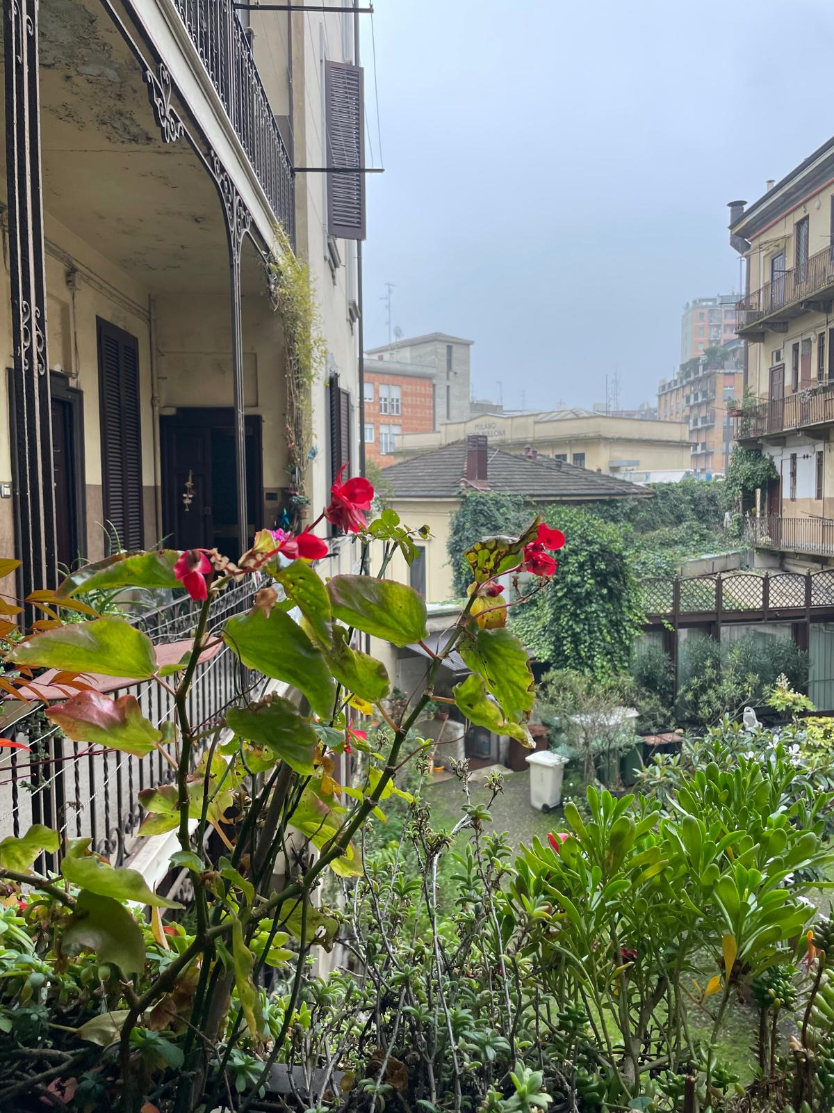 WhatsApp Image 2025-01-08 at 15.49.04