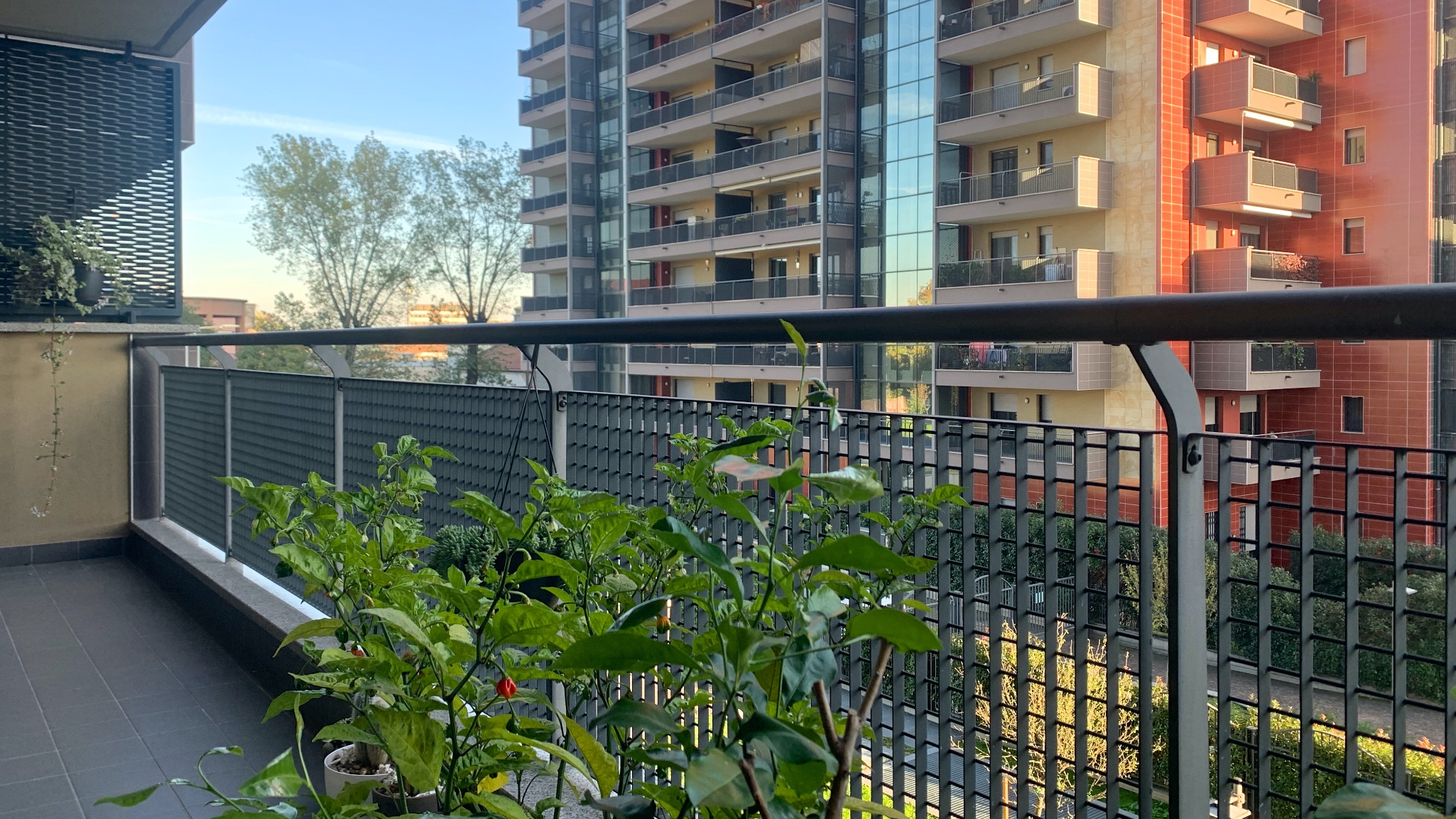 Bovisa- Vendita bilocale con terrazzo e box