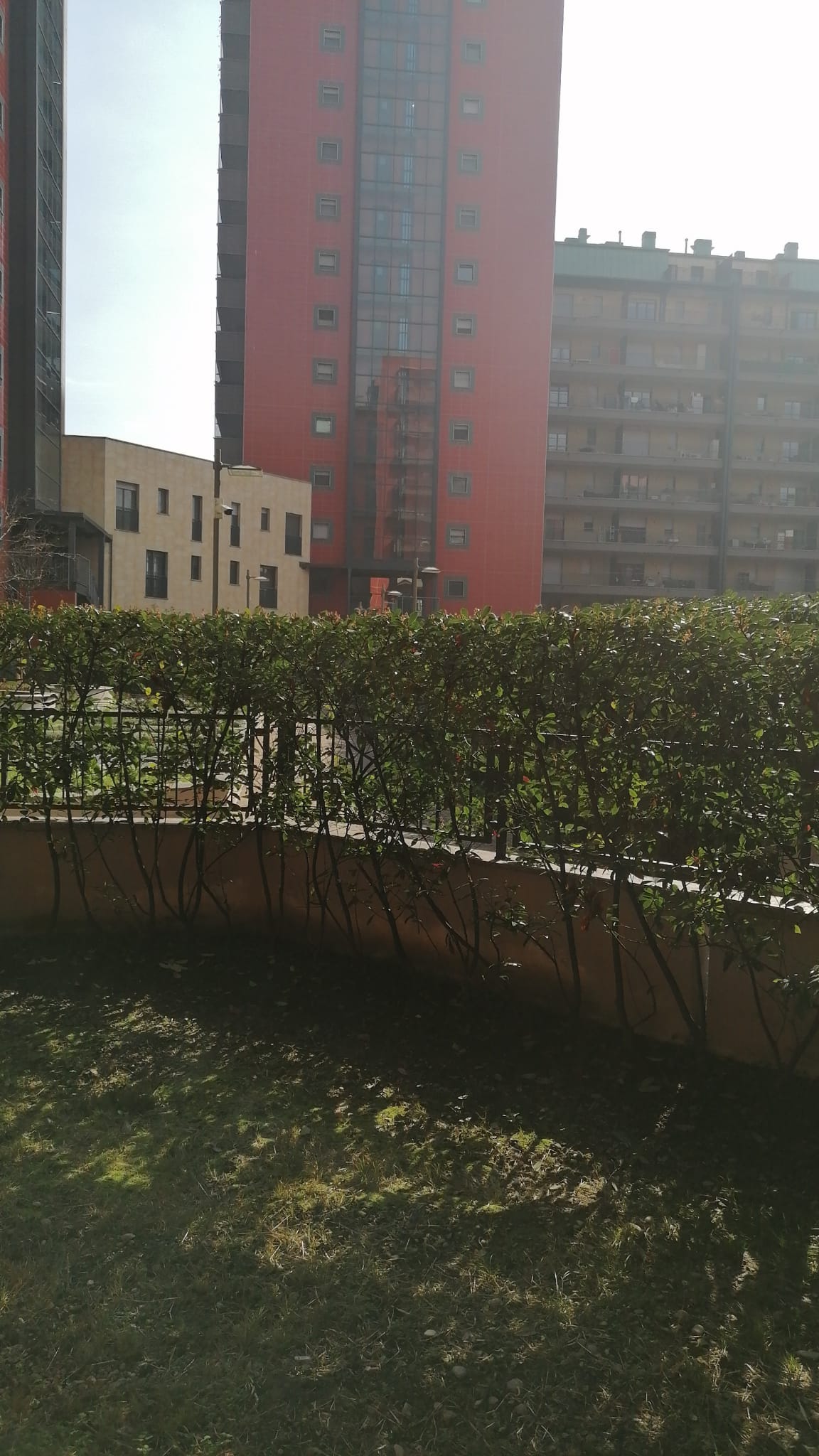 WhatsApp Image 2026-02-22 at 14.16.29-2