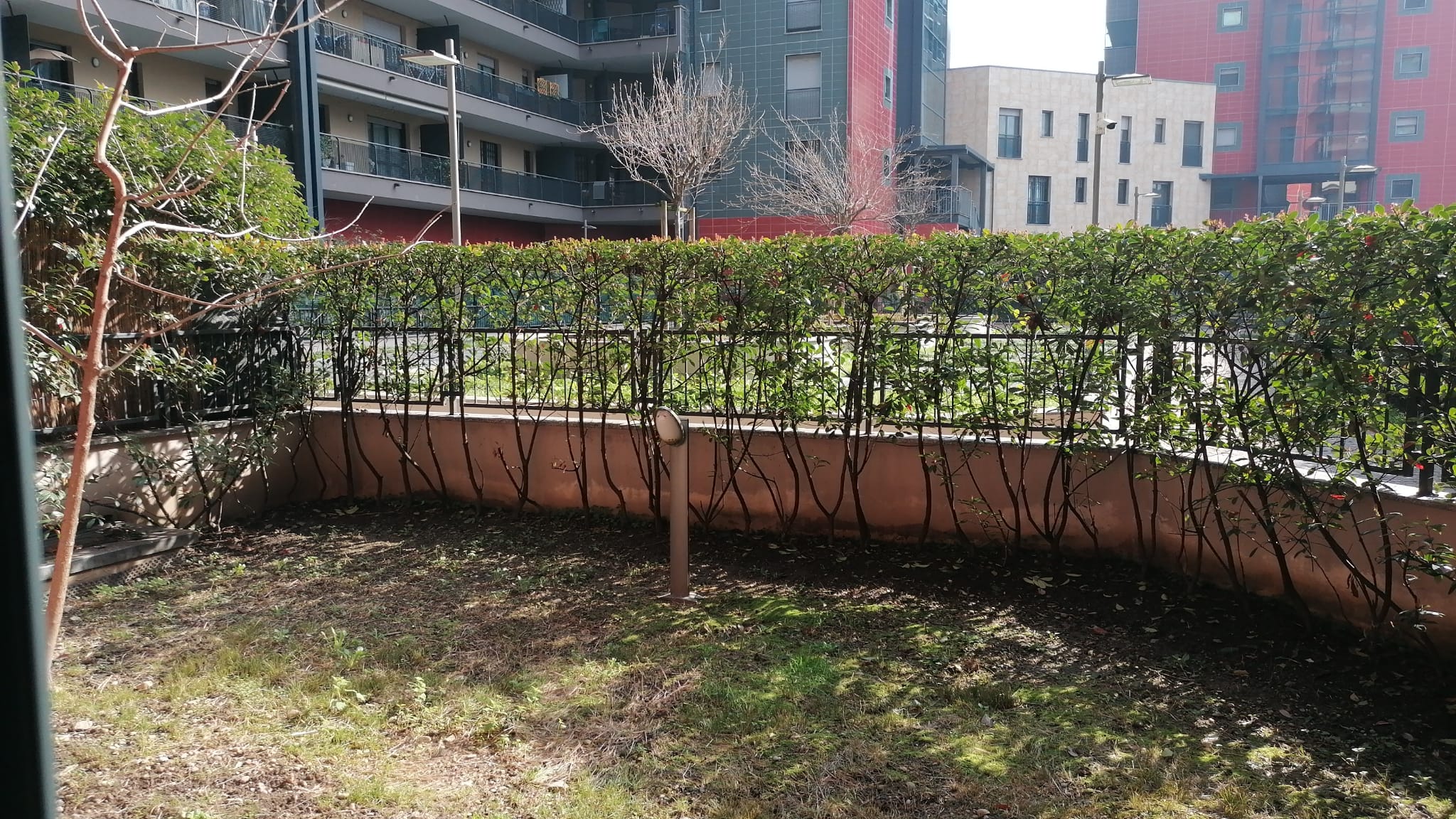 WhatsApp Image 2026-02-22 at 14.16.29-3