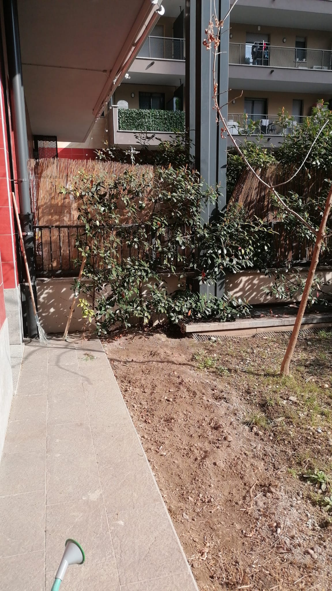 WhatsApp Image 2026-02-22 at 14.16.29-4