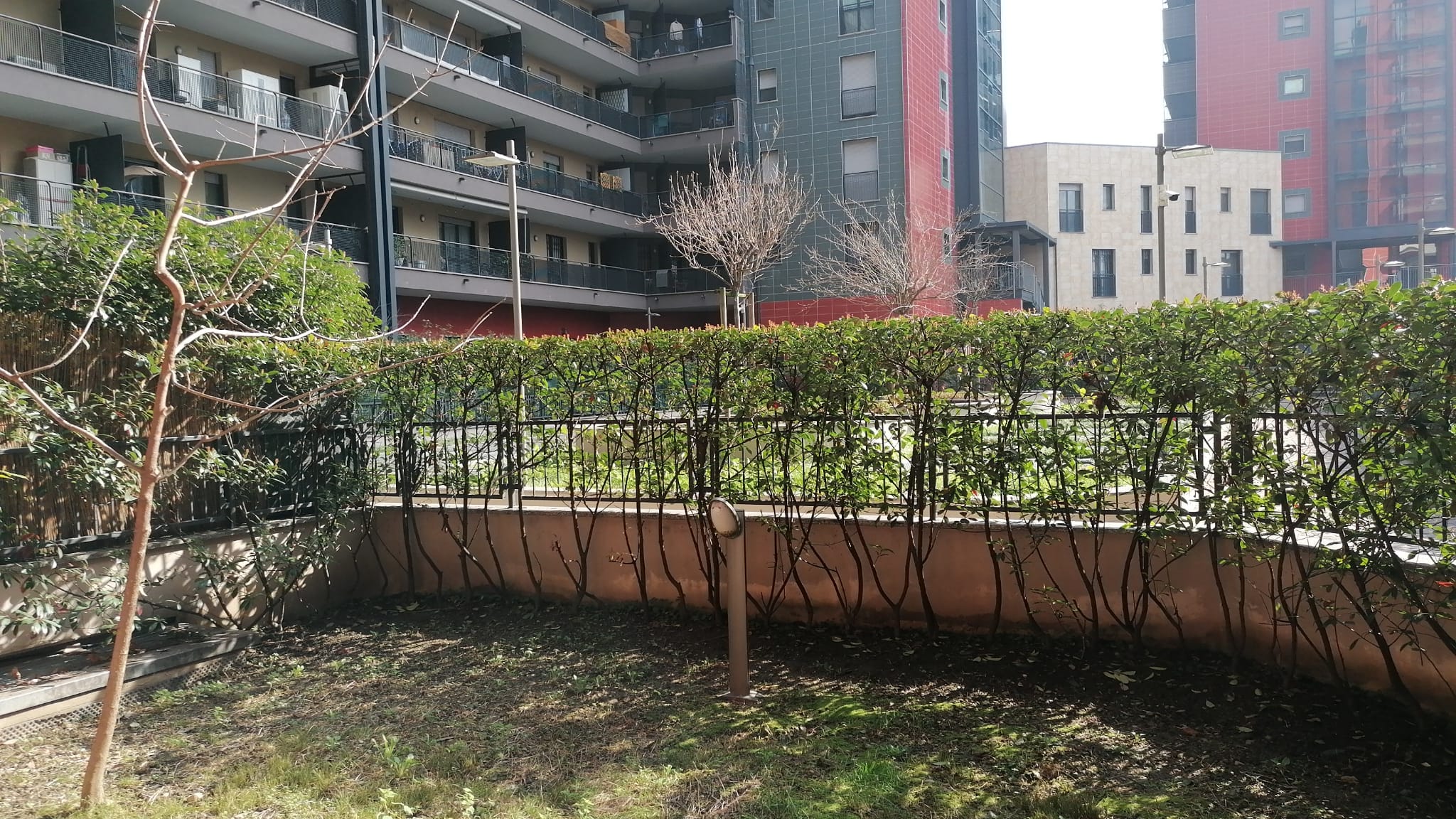 WhatsApp Image 2026-02-22 at 14.16.29