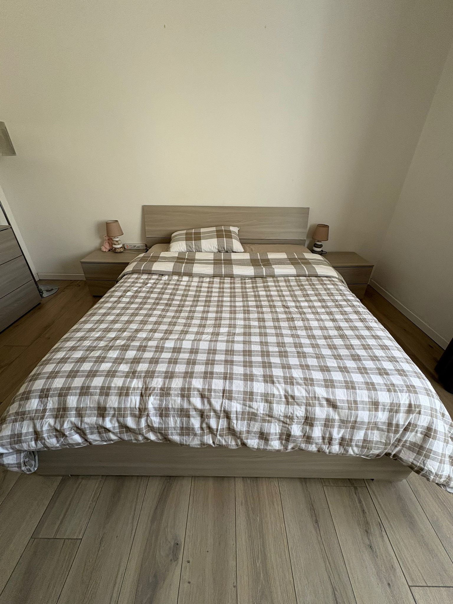 WhatsApp Image 2026-02-16 at 15.04.17-2